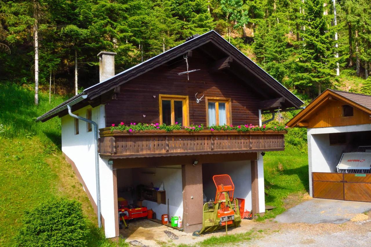 Gaestehaus Berger - Priglhof Otel Treffen Dış mekan fotoğraf