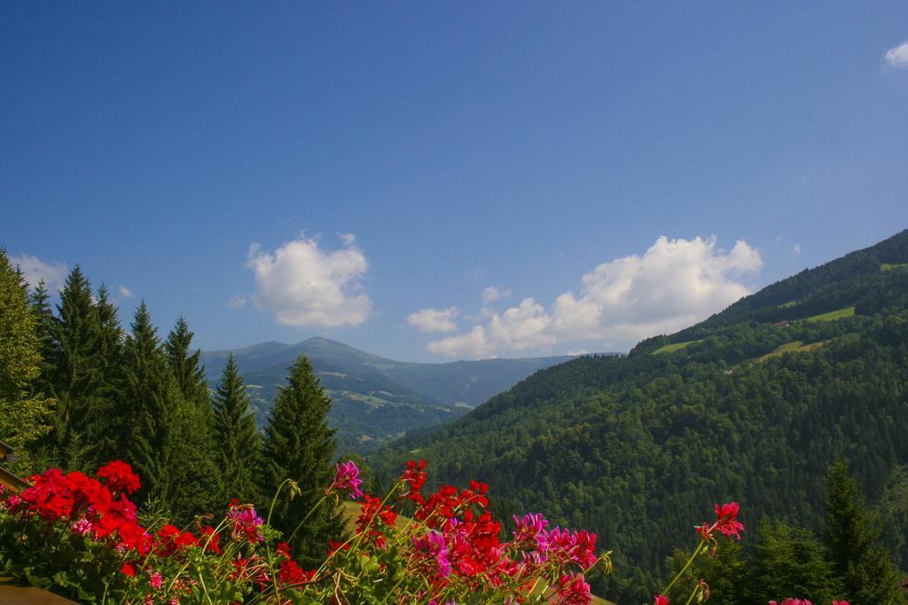 Gaestehaus Berger - Priglhof Otel Treffen Oda fotoğraf