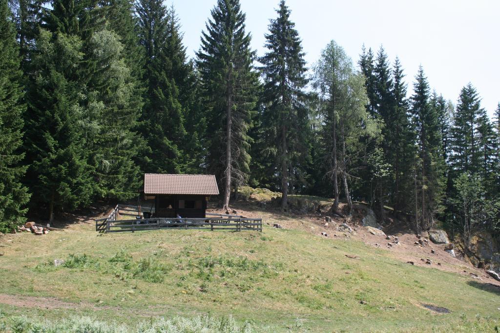 Gaestehaus Berger - Priglhof Otel Treffen Dış mekan fotoğraf